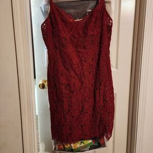Elegant Lace Burgundy Dress